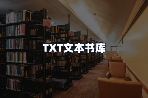TXT文本书库